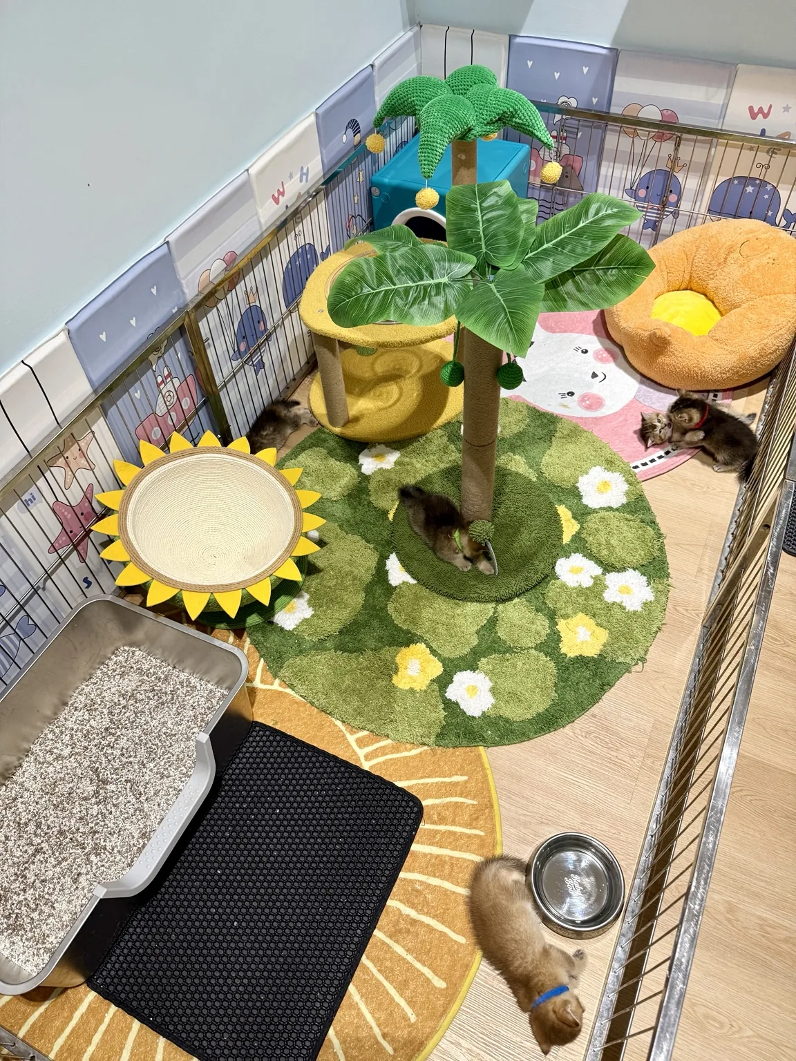 A playful beginning
