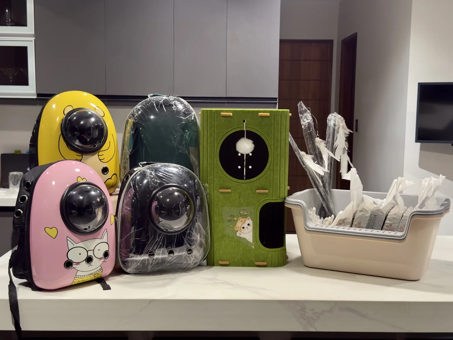 Dreamspire welcome gifts: pet bags, green cat condo, litter box, and prepared starter items displayed on a counter